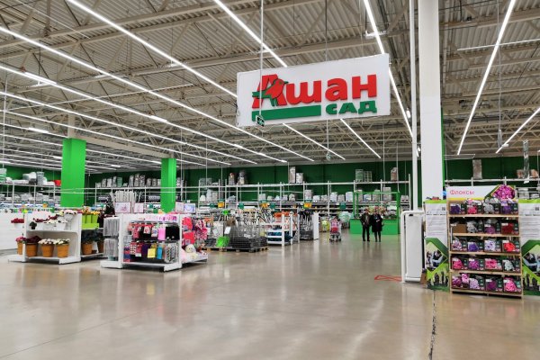 Почему не работает кракен сегодня
