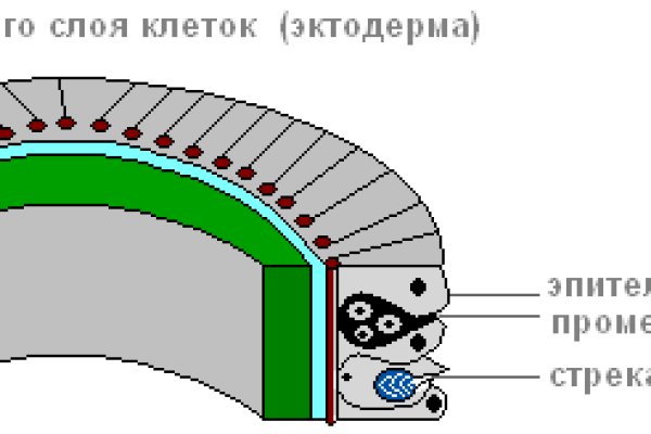 Кракен зеркало 2