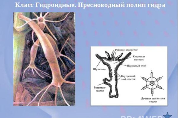 Кракен даркнет текст