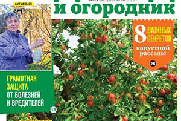 Кракен это что за магазин